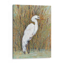 Egret Blanco Ii - Tim OToole | Cuadro decorativo de Canvas Lab