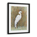Egret Blanco Ii - Tim OToole | Cuadro decorativo de Canvas Lab