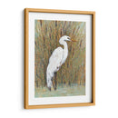 Egret Blanco Ii - Tim OToole | Cuadro decorativo de Canvas Lab