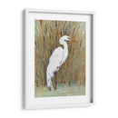 Egret Blanco Ii - Tim OToole | Cuadro decorativo de Canvas Lab