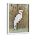Egret Blanco Ii - Tim OToole | Cuadro decorativo de Canvas Lab