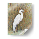 Egret Blanco Ii - Tim OToole | Cuadro decorativo de Canvas Lab