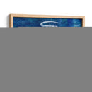 Cefalópodo Ii - Alicia Ludwig | Cuadro decorativo de Canvas Lab