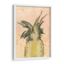 Piña Deleite Ii - Naomi McCavitt | Cuadro decorativo de Canvas Lab