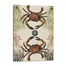 Menagerie Anticuario - Cangrejo - Naomi McCavitt | Cuadro decorativo de Canvas Lab
