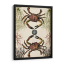 Menagerie Anticuario - Cangrejo - Naomi McCavitt | Cuadro decorativo de Canvas Lab