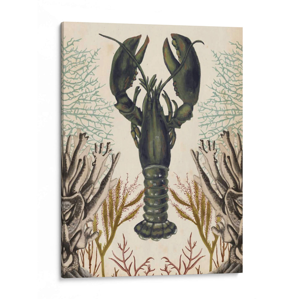 Menagerie Anticuario - Langosta - Naomi McCavitt | Cuadro decorativo de Canvas Lab