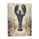 Menagerie Anticuario - Langosta - Naomi McCavitt | Cuadro decorativo de Canvas Lab