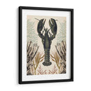 Menagerie Anticuario - Langosta - Naomi McCavitt | Cuadro decorativo de Canvas Lab