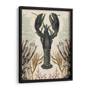 Menagerie Anticuario - Langosta - Naomi McCavitt | Cuadro decorativo de Canvas Lab