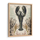 Menagerie Anticuario - Langosta - Naomi McCavitt | Cuadro decorativo de Canvas Lab