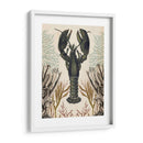 Menagerie Anticuario - Langosta - Naomi McCavitt | Cuadro decorativo de Canvas Lab