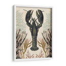 Menagerie Anticuario - Langosta - Naomi McCavitt | Cuadro decorativo de Canvas Lab