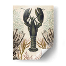 Menagerie Anticuario - Langosta - Naomi McCavitt | Cuadro decorativo de Canvas Lab