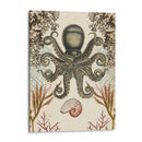 Menagerie Anticuario - Octopus - Naomi McCavitt | Cuadro decorativo de Canvas Lab