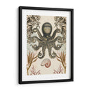 Menagerie Anticuario - Octopus - Naomi McCavitt | Cuadro decorativo de Canvas Lab