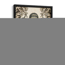 Menagerie Anticuario - Octopus - Naomi McCavitt | Cuadro decorativo de Canvas Lab