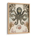 Menagerie Anticuario - Octopus - Naomi McCavitt | Cuadro decorativo de Canvas Lab