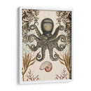 Menagerie Anticuario - Octopus - Naomi McCavitt | Cuadro decorativo de Canvas Lab