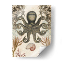 Menagerie Anticuario - Octopus - Naomi McCavitt | Cuadro decorativo de Canvas Lab