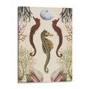 Menagerie Anticuario - Seahorse - Naomi McCavitt | Cuadro decorativo de Canvas Lab