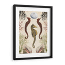 Menagerie Anticuario - Seahorse - Naomi McCavitt | Cuadro decorativo de Canvas Lab