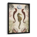 Menagerie Anticuario - Seahorse - Naomi McCavitt | Cuadro decorativo de Canvas Lab