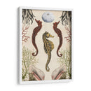 Menagerie Anticuario - Seahorse - Naomi McCavitt | Cuadro decorativo de Canvas Lab