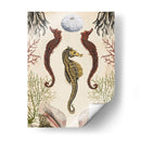 Menagerie Anticuario - Seahorse - Naomi McCavitt | Cuadro decorativo de Canvas Lab