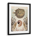 Menagerie Anticuario - Pescado Puffer - Naomi McCavitt | Cuadro decorativo de Canvas Lab