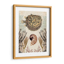 Menagerie Anticuario - Pescado Puffer - Naomi McCavitt | Cuadro decorativo de Canvas Lab