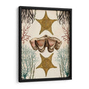 Menagerie Anticuario - Estrella De Mar - Naomi McCavitt | Cuadro decorativo de Canvas Lab