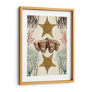 Menagerie Anticuario - Estrella De Mar - Naomi McCavitt | Cuadro decorativo de Canvas Lab