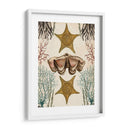 Menagerie Anticuario - Estrella De Mar - Naomi McCavitt | Cuadro decorativo de Canvas Lab