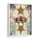 Menagerie Anticuario - Estrella De Mar - Naomi McCavitt | Cuadro decorativo de Canvas Lab