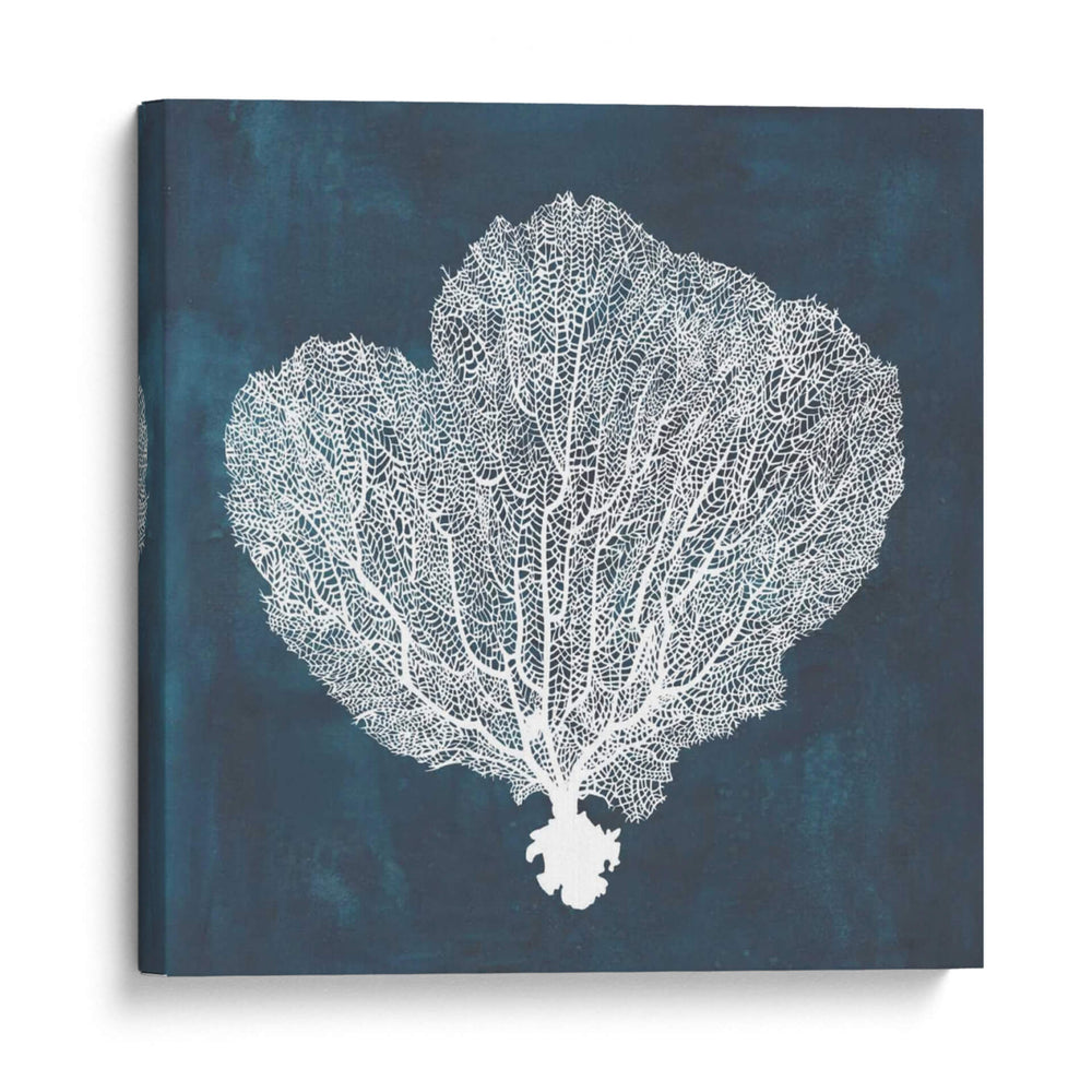 Ventilador De Mar Inverso I - Grace Popp | Cuadro decorativo de Canvas Lab