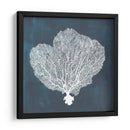 Ventilador De Mar Inverso I - Grace Popp | Cuadro decorativo de Canvas Lab