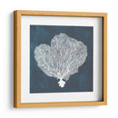 Ventilador De Mar Inverso I - Grace Popp | Cuadro decorativo de Canvas Lab