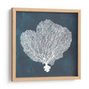Ventilador De Mar Inverso I - Grace Popp | Cuadro decorativo de Canvas Lab