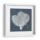 Ventilador De Mar Inverso I - Grace Popp | Cuadro decorativo de Canvas Lab