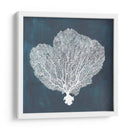 Ventilador De Mar Inverso I - Grace Popp | Cuadro decorativo de Canvas Lab