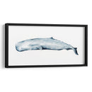 Retrato De Ballena Ii - Grace Popp | Cuadro decorativo de Canvas Lab