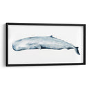 Retrato De Ballena Ii - Grace Popp | Cuadro decorativo de Canvas Lab