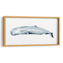 Retrato De Ballena Ii - Grace Popp | Cuadro decorativo de Canvas Lab