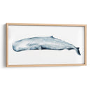 Retrato De Ballena Ii - Grace Popp | Cuadro decorativo de Canvas Lab