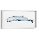 Retrato De Ballena Ii - Grace Popp | Cuadro decorativo de Canvas Lab