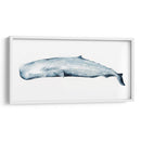 Retrato De Ballena Ii - Grace Popp | Cuadro decorativo de Canvas Lab
