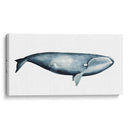 Retrato De Ballena Iii - Grace Popp | Cuadro decorativo de Canvas Lab