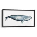 Retrato De Ballena Iii - Grace Popp | Cuadro decorativo de Canvas Lab