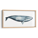 Retrato De Ballena Iii - Grace Popp | Cuadro decorativo de Canvas Lab